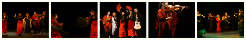 Flamenco Vivo